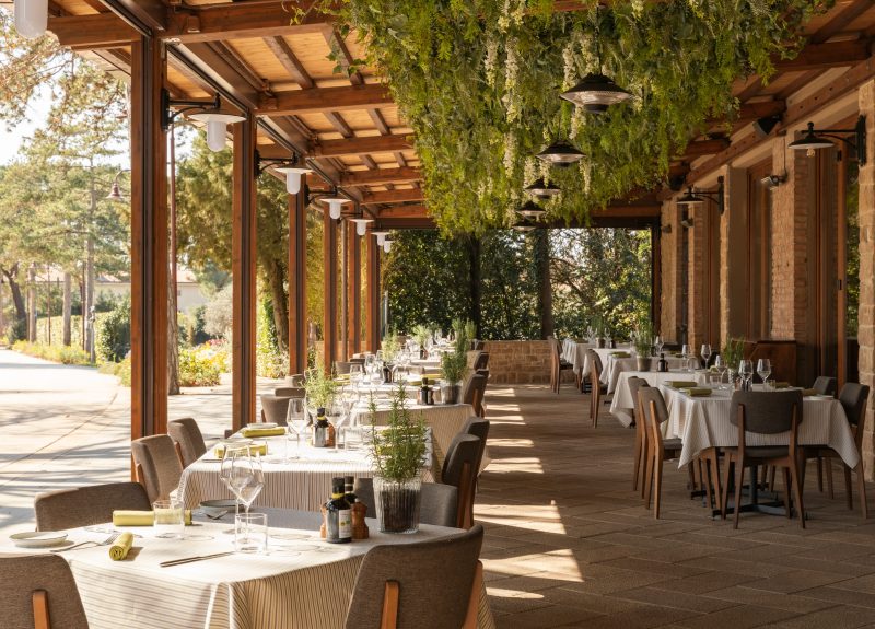 Il rosmarino 1