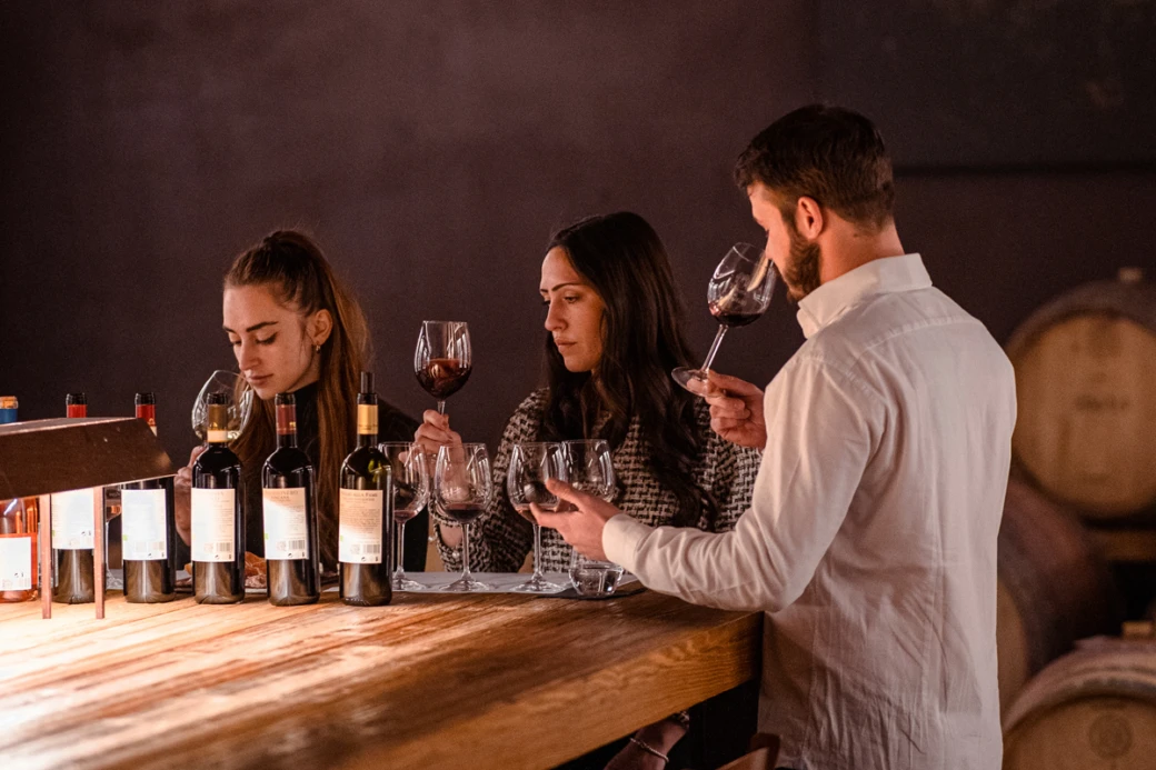 Wine Tasting 8 MOD