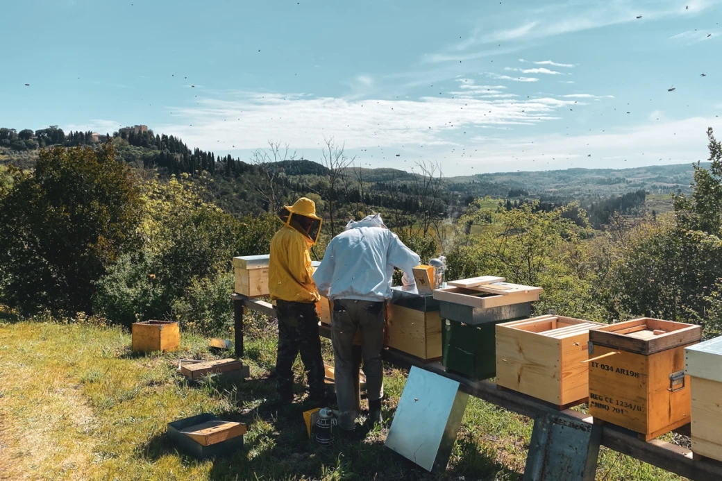 Bee Experience 1