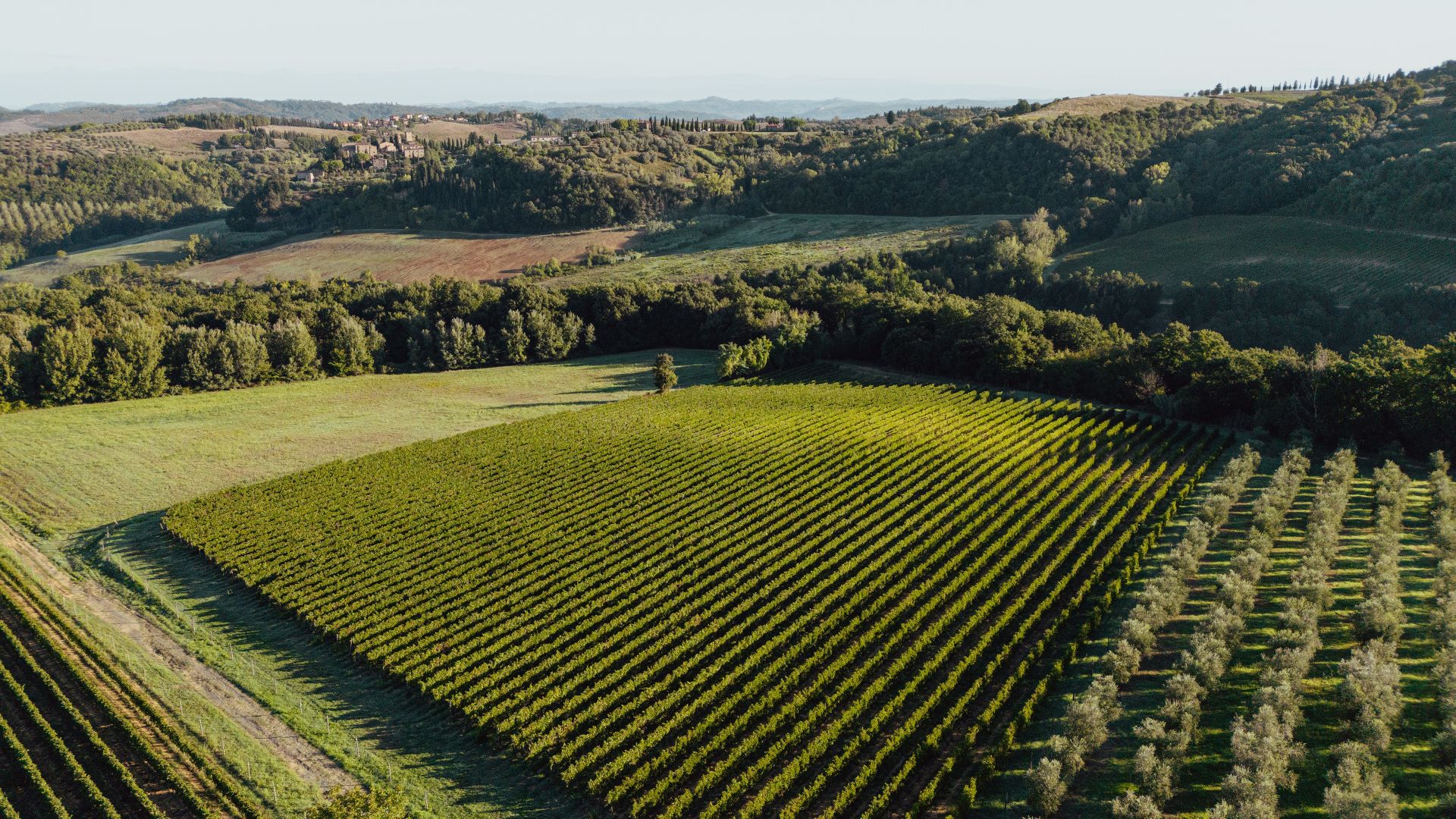 00 landing azienda agricola desktop