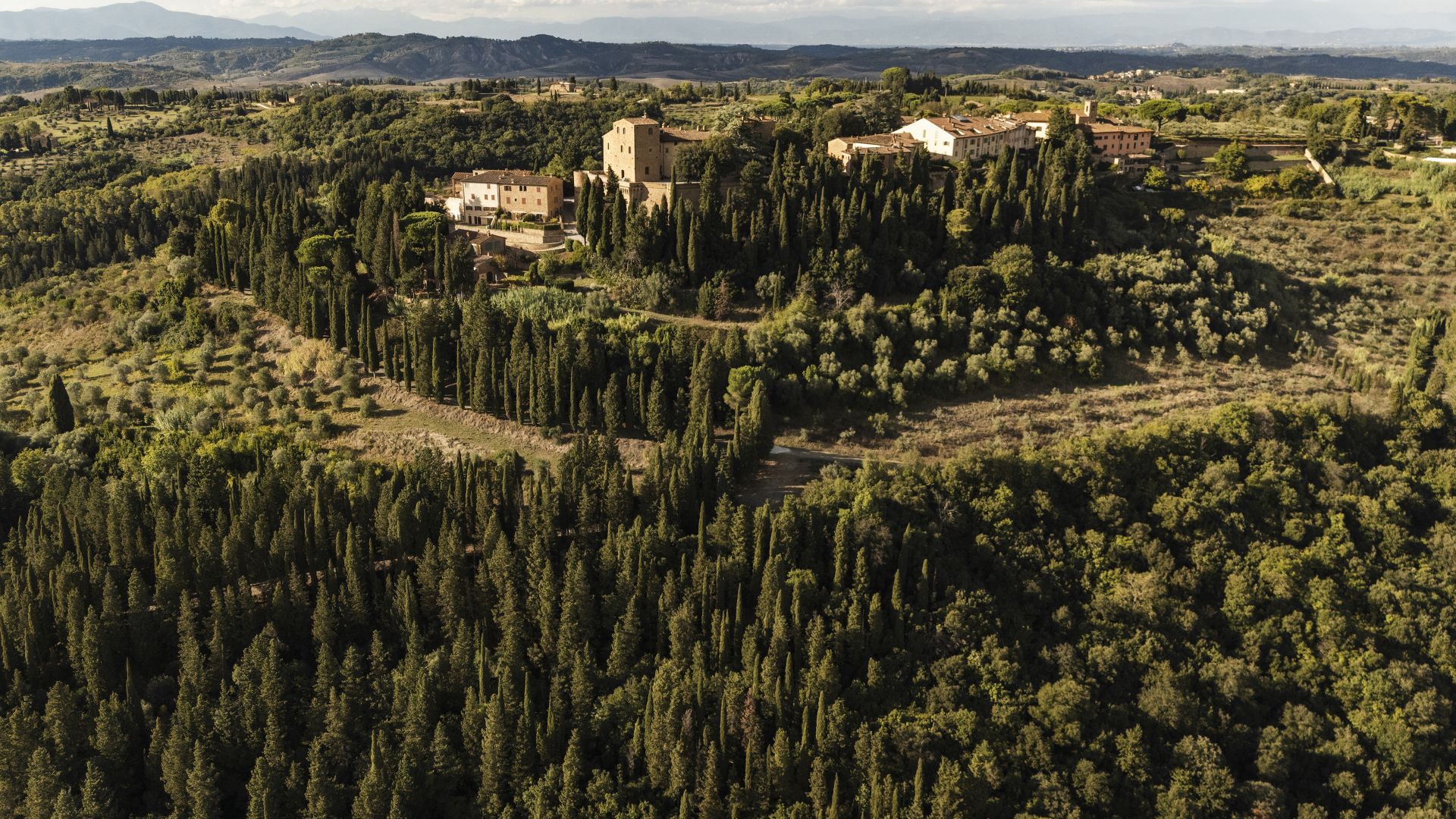 00 landing bagno foresta desktop