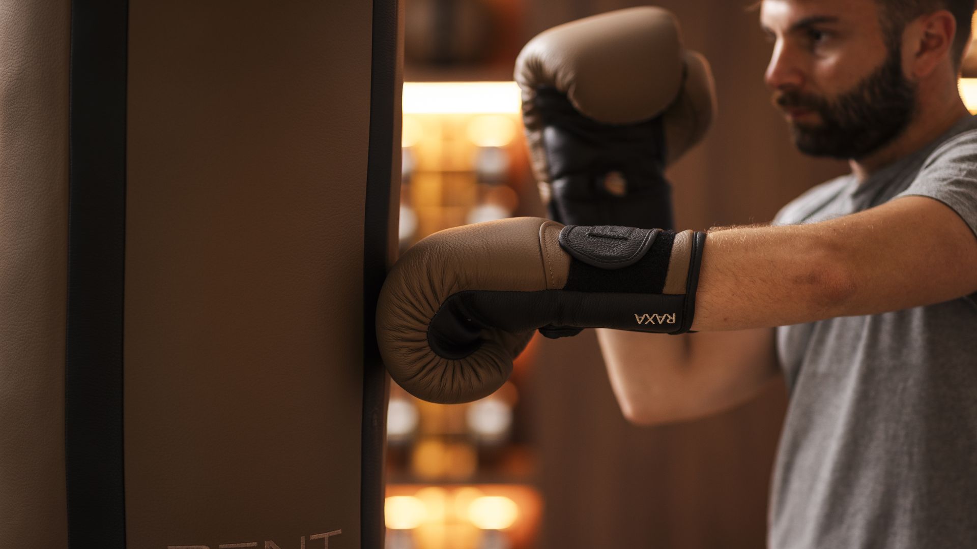 00 landing kick boxing desktop