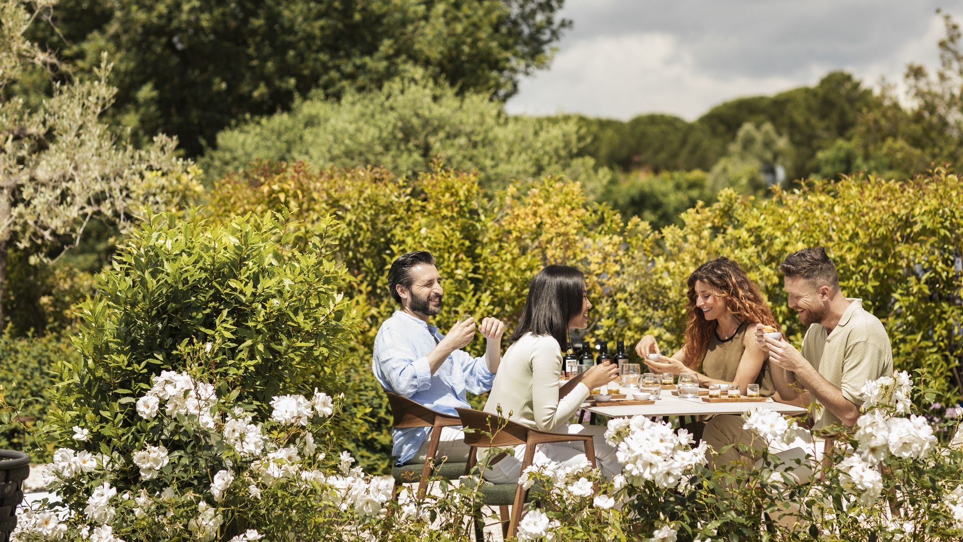 00 landing raccolta olive desgustazione desktop