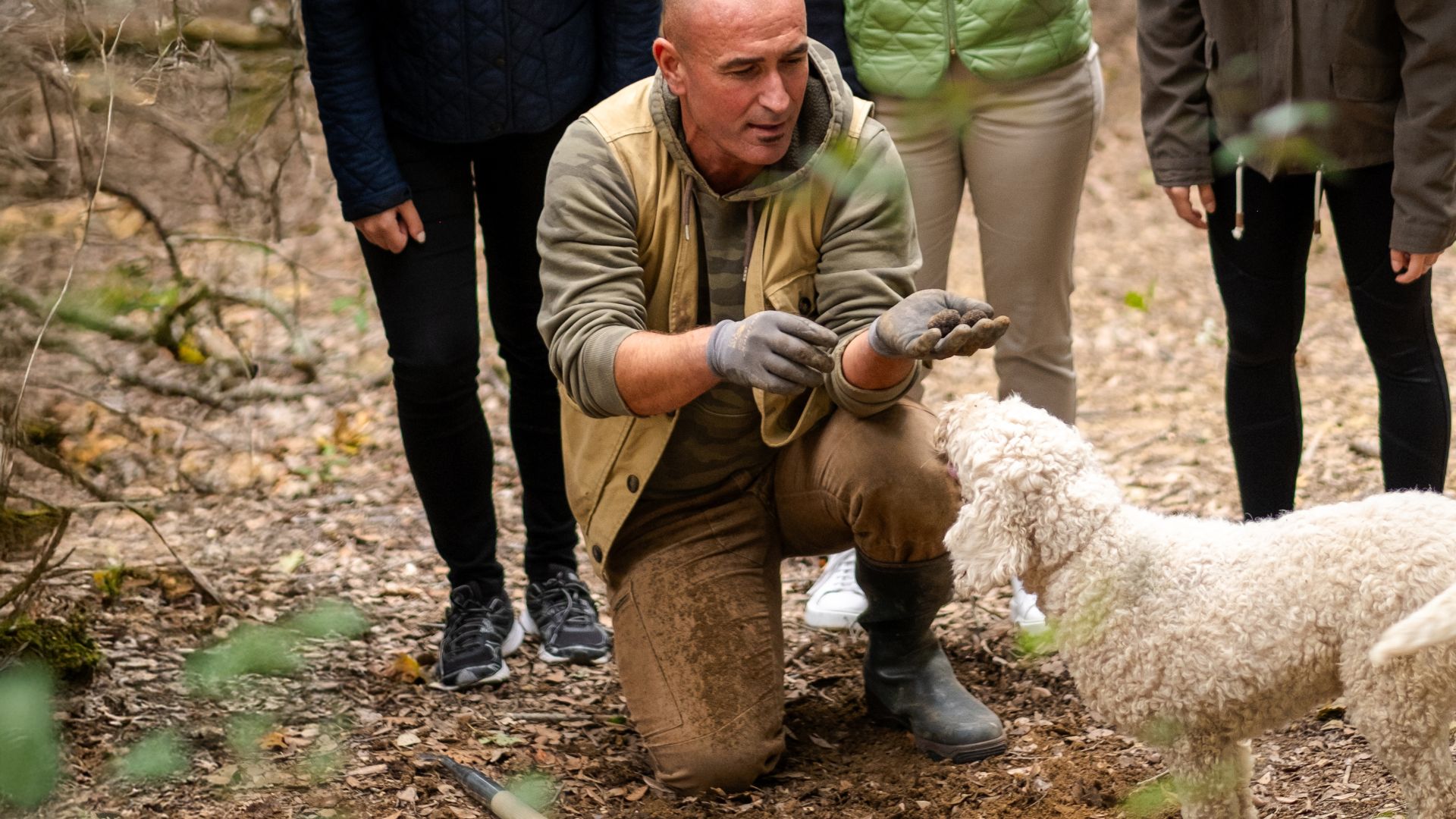 00 landing tartufo desktop