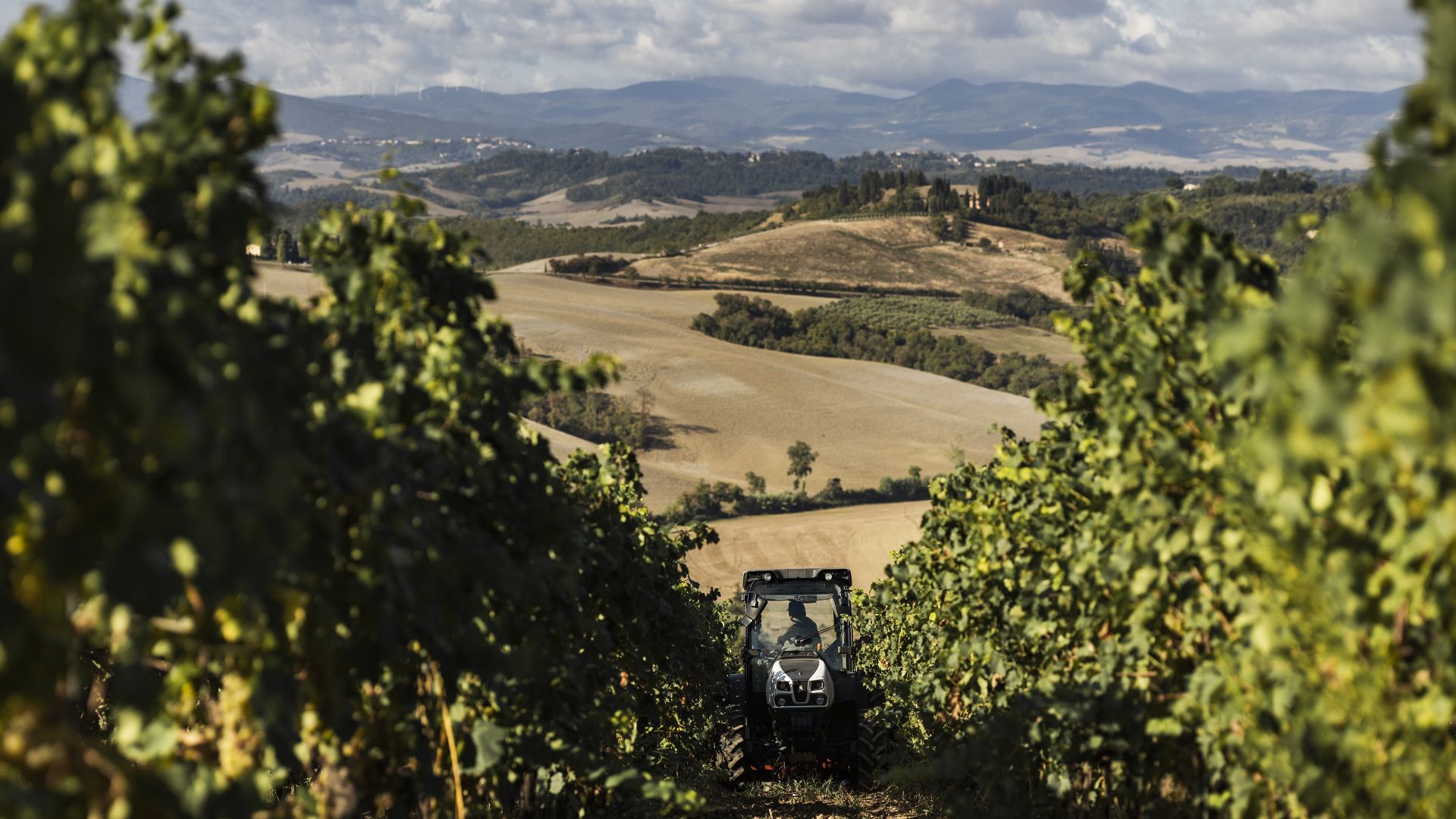 00 landing vendemmia desktop