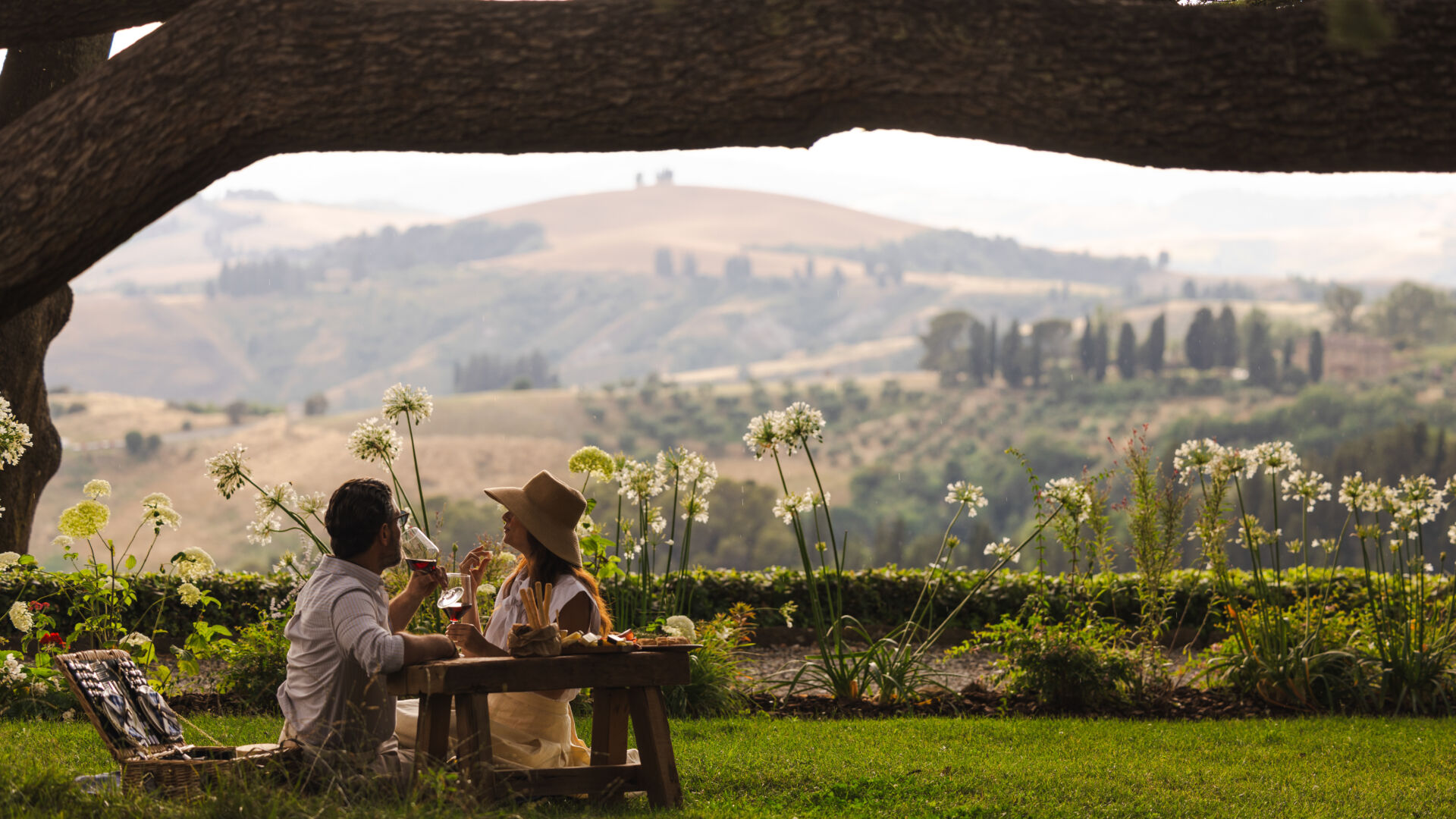Pic nic Desktop