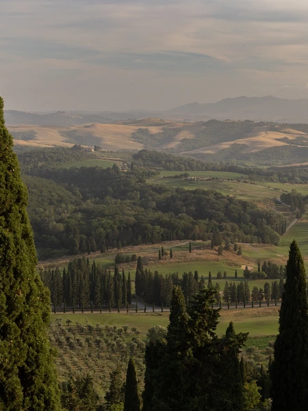 06 gallery junior suite garden