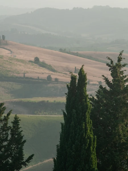 04 gallery junior suite terrace