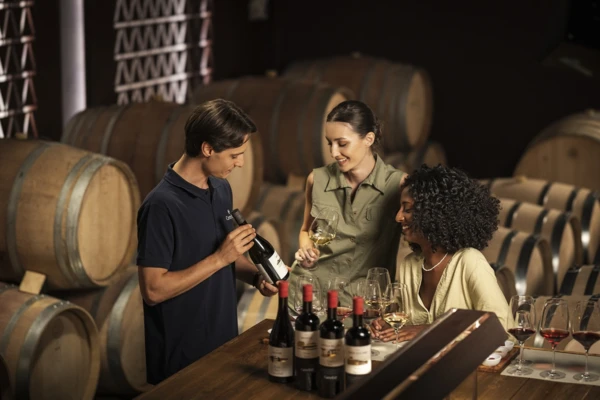 Card wine tasting
