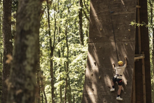 Card arrampicata sportiva