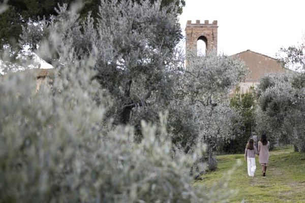 Card tour borgo