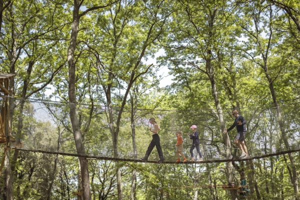 Card adventure park