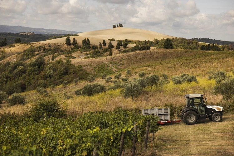 Gallery azienda agricola 01