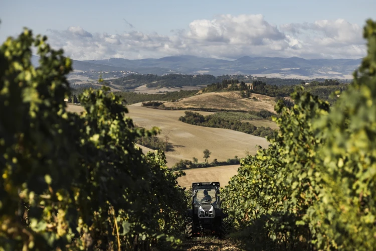 Gallery azienda agricola 03