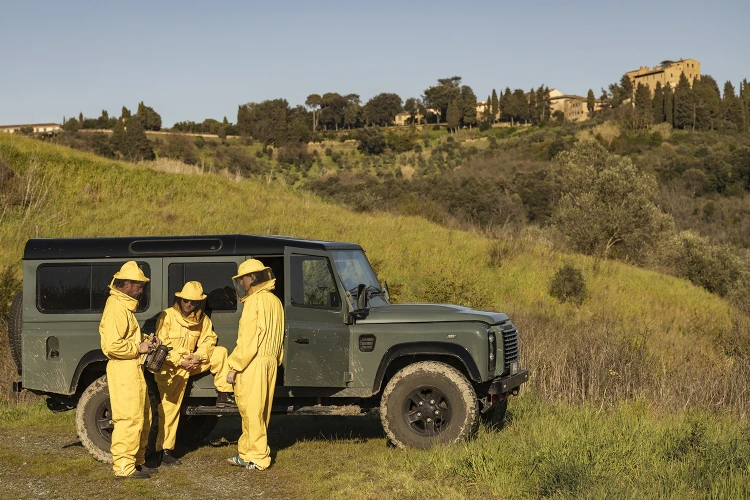 Carosello apiario 01