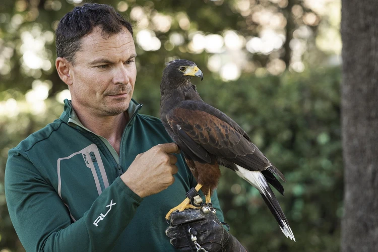 Carosello falconeria 02