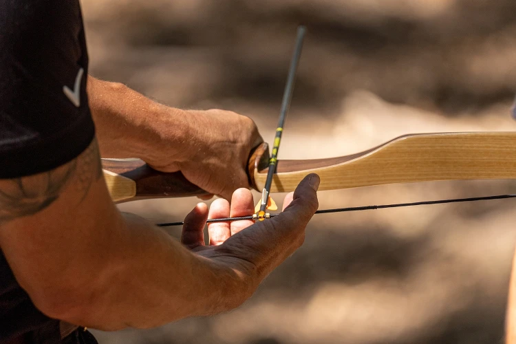 Carosello 4 elementi 01