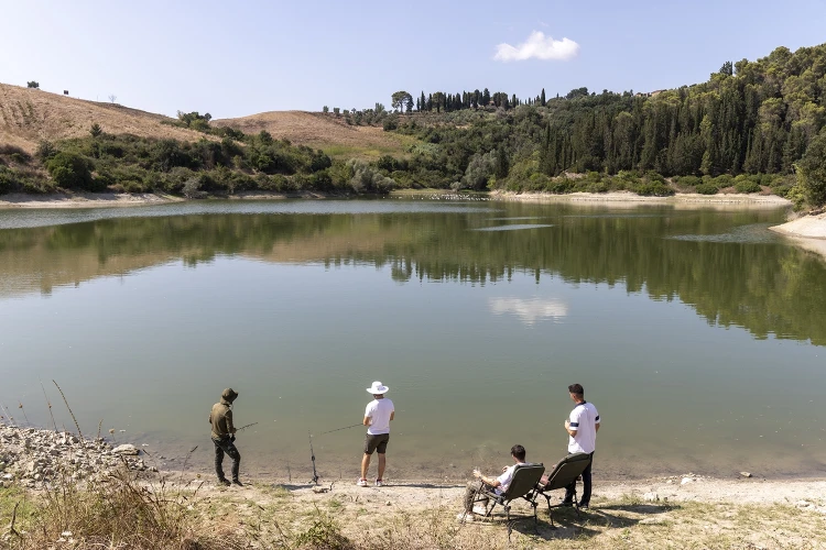 Carosello 4 elementi 05