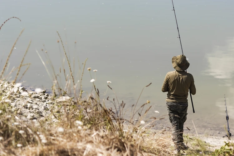 Carosello 4 elementi 06