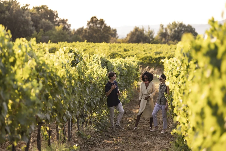 Carosello wine tour tasting 01