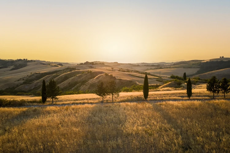 Carosello cena tramonto 01