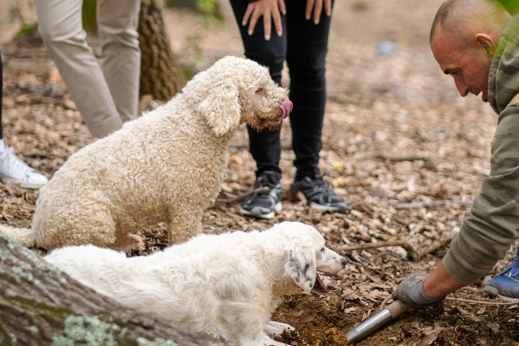 Carosello esperienze 02