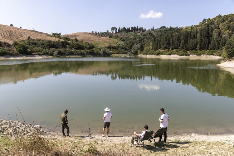 Carosello esperienze 04