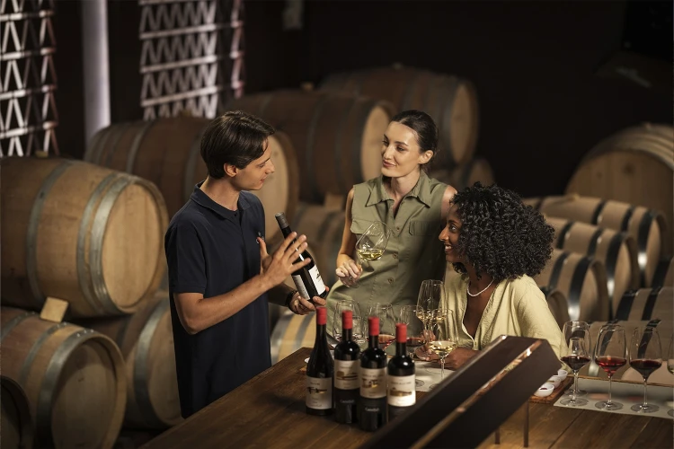 Carosello esperienze 05