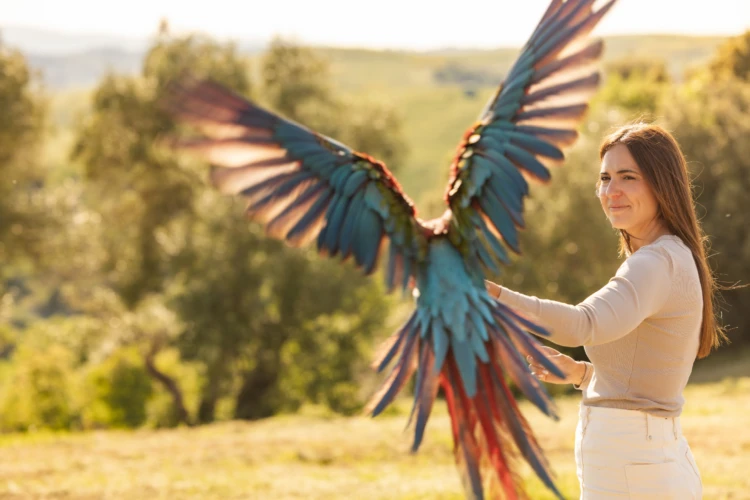 Falconry 04 01