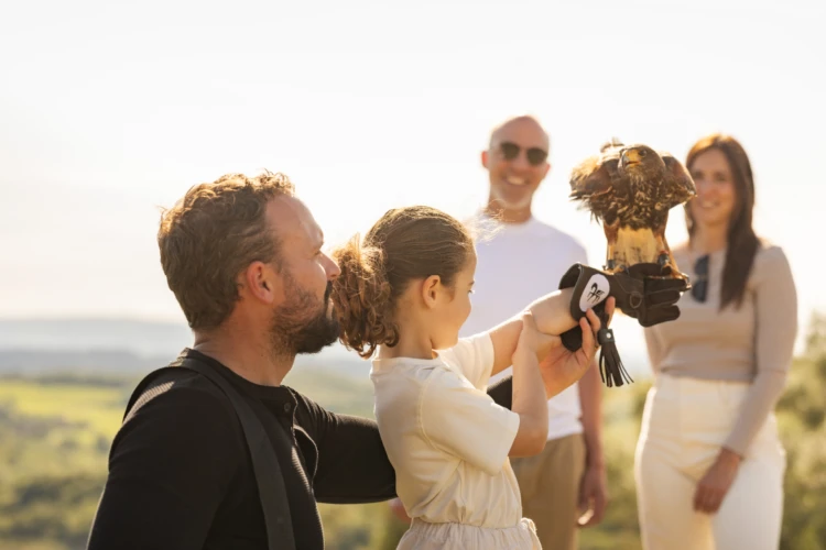 Falconry 08 01