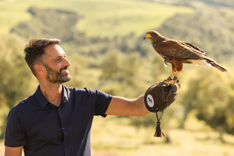 Falconry 09 01