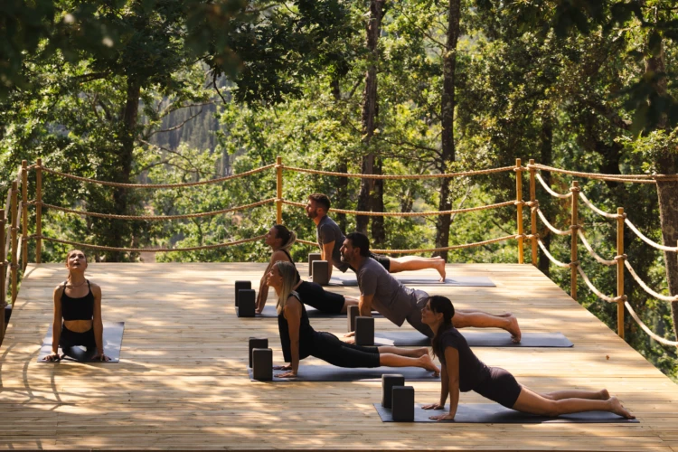 Yoga in the woods 13