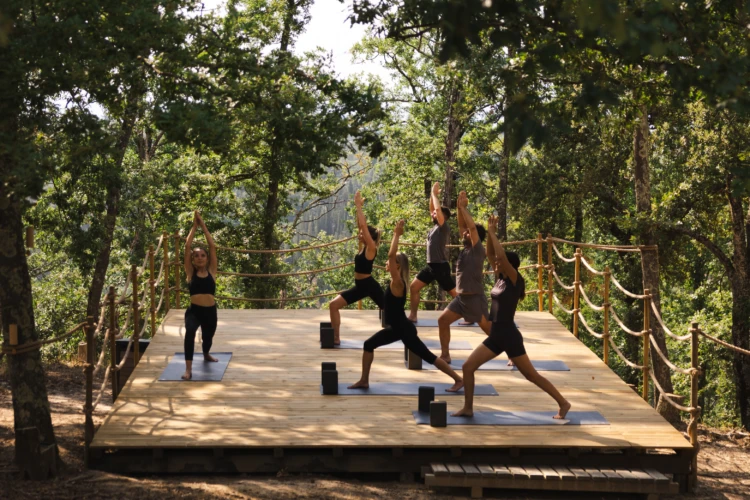 Yoga in the woods 15