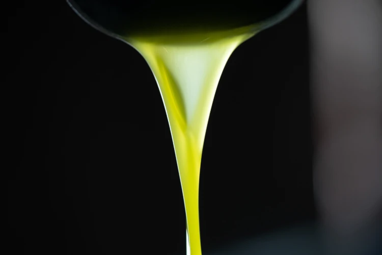 Bruschetta e olio nuovo 03