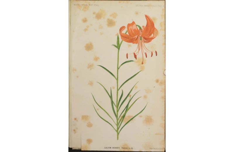 Untitled design 11