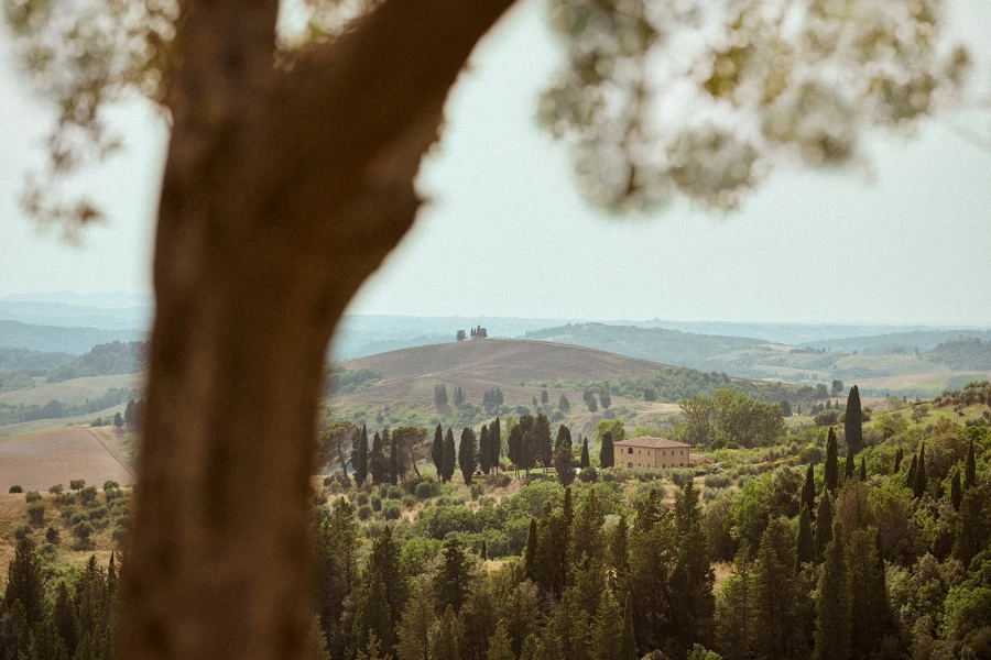 05 gallery junior suite garden