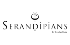 Logo traveler 3